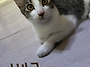 베르, 가족을 만났습니다&..
