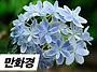 만화경