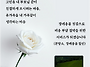 광주광역시 장례를 준비하..