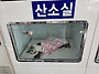 새식구 검은 고양이 "키키..