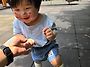 6.17 버찌놀이