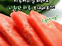 07월 13일 토요일 출석부