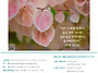 2026년 9월 13일 아켐 주..