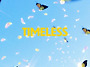 EP) 4 TIMELESS