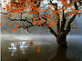 🍂곱게물든 단풍