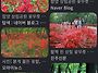 9/28.29.30 가을꽃 즐기러..
