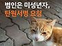 [탄원 서명 요청] 고양시 ..