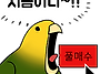 골든돔 프로젝트가 뭐길래..