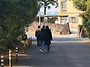 금일 산책지원