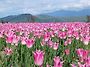 힐링트레블!Agassiz Tu..