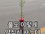 5월23일.토요일~힐링출석부