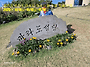 제주도 추자도 마라도 억새..