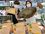 롯데마트 자연산 광어회 ..