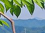 수요 라이딩 호명산길