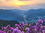 봉화산