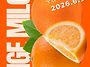 6/9(화🍊) 오..