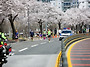 2026 영주 소백산..