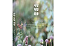 &#65308;아름다운 서재&#65310; 21호 ..