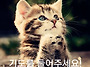 말씀 명상 - 디모데후서 ..