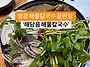 영광 해담음 해물칼국수 ..