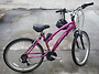 Adult Women Bike