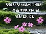 오늘의 영어화화와 단어(..