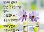 우리네 삶에ㆍㆍ딱딱 잘 ..