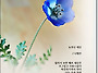 눈부신 세상 / 나태주