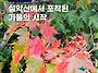 설악산 가을 시작