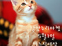 다가오는 5월1일 낭만누리..