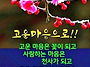 ♤길은 걸어가면 뒤에 있다..