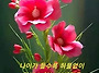 ♤살다가♧