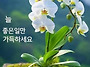 ♤해탈(解脫)의 의미♧