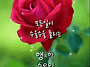 공기총사격/사냥/동호회:..