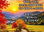 공기총사격/사냥/동호회:..