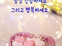 공기총사격/사냥/동호회:..