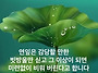 공기총사격/사냥/동호회:..