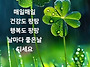 공기총사격/사냥/동호회:..