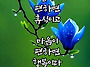 공기총사격/사냥/동호회:..