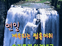 공기총사격/사냥/동호회:..