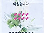 공기총사격/사냥/동호회:..