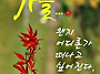 공기총사격/사냥/동호회:..