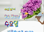 공기총사격/사냥/동호회:..