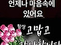 공기총사격/사냥/동호회:..