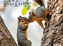 공기총사격/사냥/동호회:..
