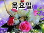 공기총사격/사냥/동호회:..