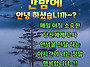 공기총사격/사냥/동호회:..