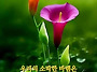 공기총사격/사냥/동호회:..