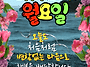 공기총사격/사냥/동호회:..