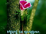 공기총사격/사냥/동호회:..